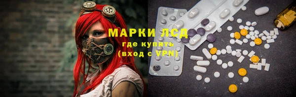 индика Алексин