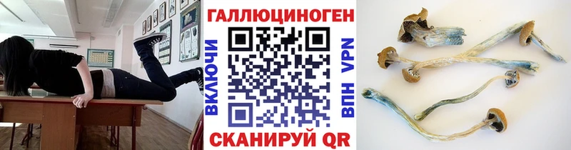 Галлюциногенные грибы Psilocybe  Петров Вал 